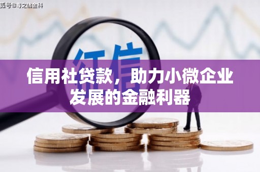 台西信用社贷款，助力小微企业发展的金融利器