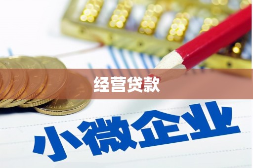 台西经营贷款