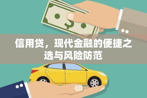 台西信用贷，现代金融的便捷之选与风险防范
