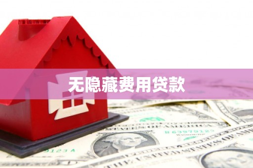 台西无隐藏费用贷款