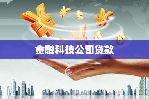 台西金融科技公司贷款