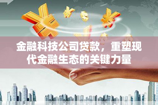 台西金融科技公司贷款，重塑现代金融生态的关键力量