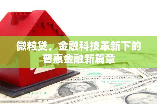 台西微粒贷，金融科技革新下的普惠金融新篇章