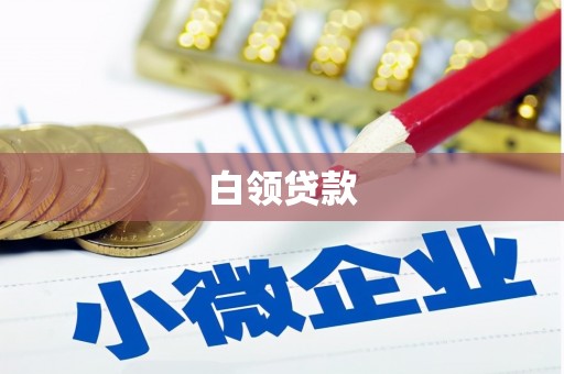 台西白领贷款