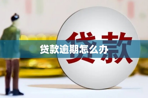 台西贷款逾期怎么办