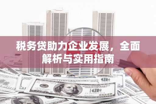 台西税务贷助力企业发展，全面解析与实用指南