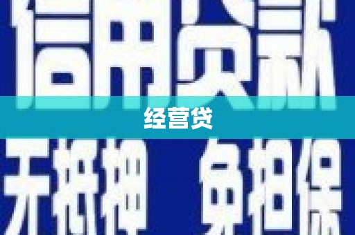台西经营贷