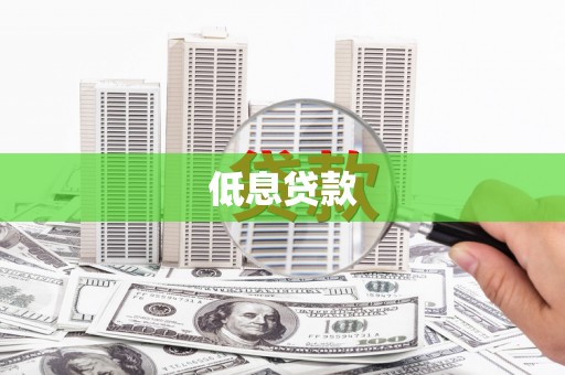台西低息贷款