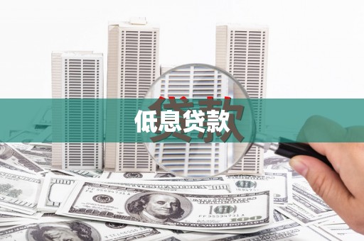 台西低息贷款