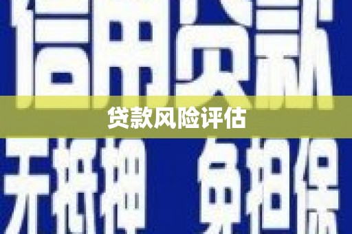 台西贷款风险评估