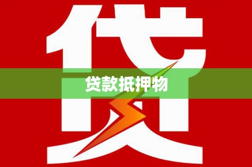 台西贷款抵押物