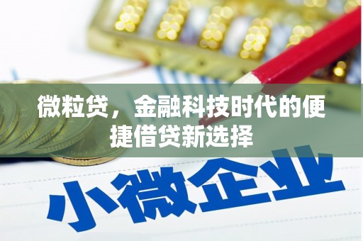 台西微粒贷，金融科技时代的便捷借贷新选择