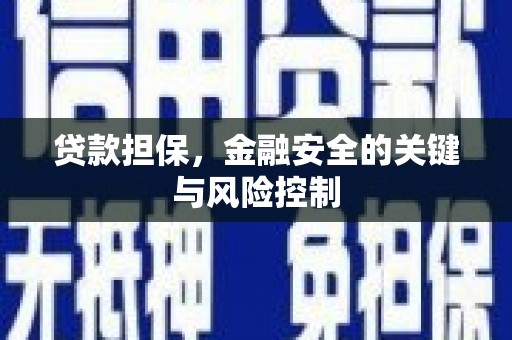 台西贷款担保，金融安全的关键与风险控制