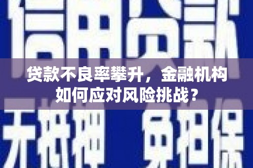 台西贷款不良率攀升，金融机构如何应对风险挑战？