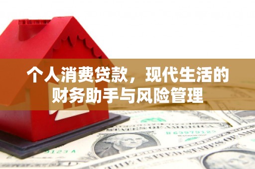 台西个人消费贷款，现代生活的财务助手与风险管理