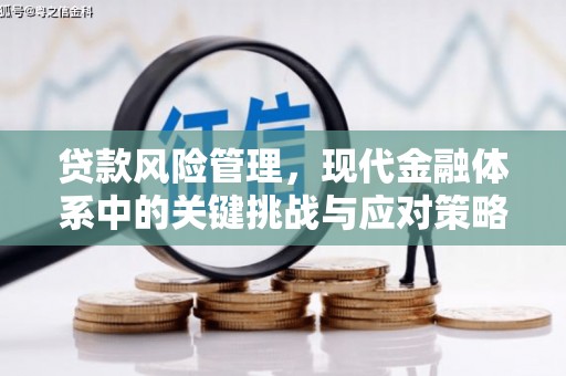 台西贷款风险管理，现代金融体系中的关键挑战与应对策略