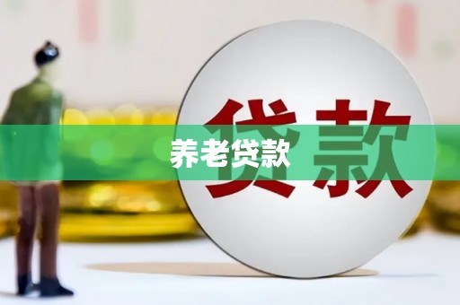 台西养老贷款