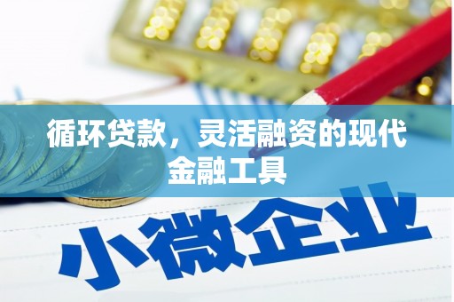 台西循环贷款，灵活融资的现代金融工具