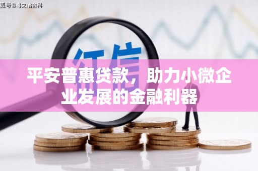 台西平安普惠贷款，助力小微企业发展的金融利器