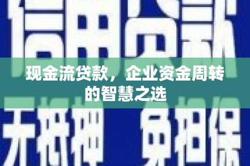 台西现金流贷款，企业资金周转的智慧之选