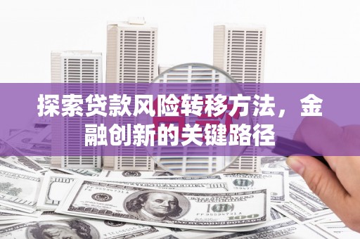 台西探索贷款风险转移方法，金融创新的关键路径