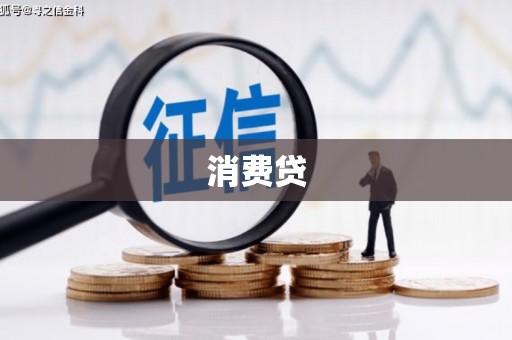 台西消费贷