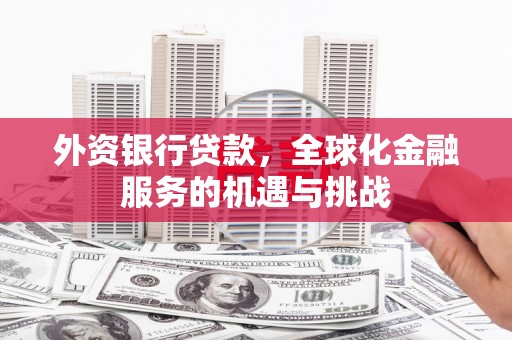 台西外资银行贷款，全球化金融服务的机遇与挑战