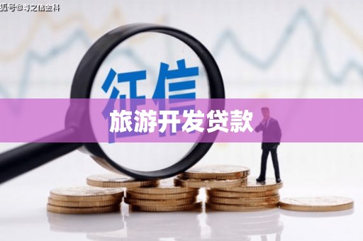 台西旅游开发贷款