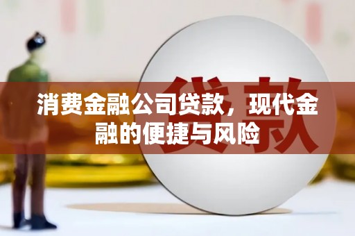 台西消费金融公司贷款，现代金融的便捷与风险
