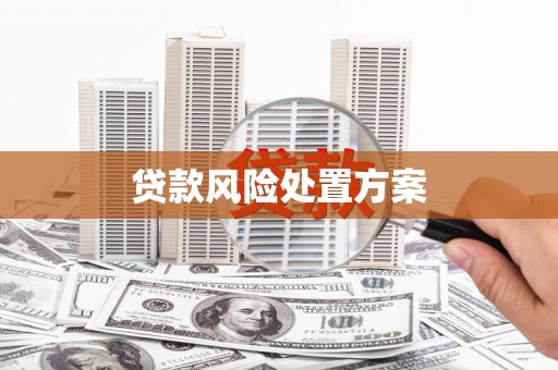 台西贷款风险处置方案