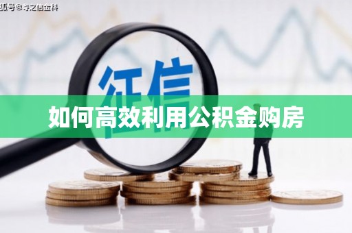 台西如何高效利用公积金购房