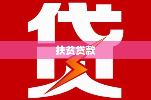 台西扶贫贷款