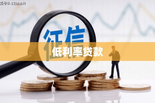 台西低利率贷款