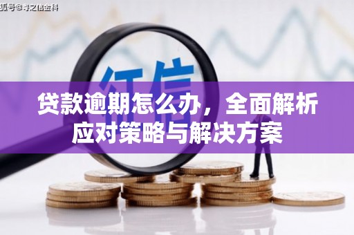 台西贷款逾期怎么办，全面解析应对策略与解决方案