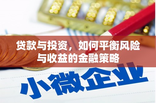 台西贷款与投资，如何平衡风险与收益的金融策略