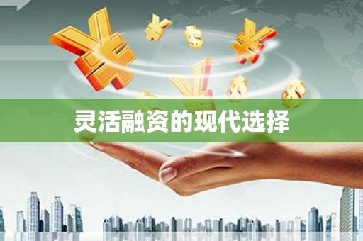 台西灵活融资的现代选择