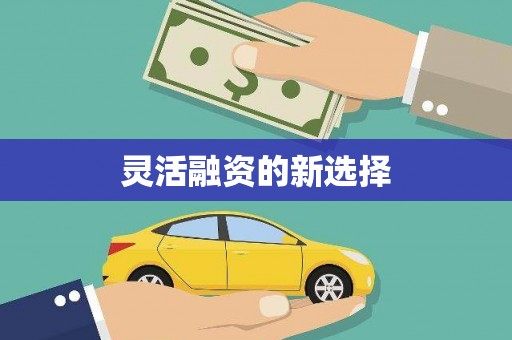 台西灵活融资的新选择