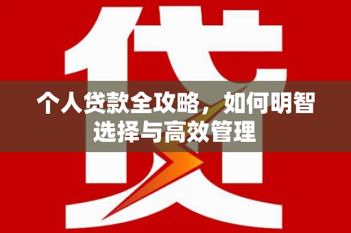 台西个人贷款全攻略，如何明智选择与高效管理