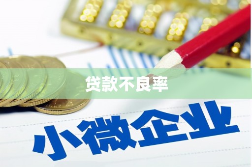 台西贷款不良率