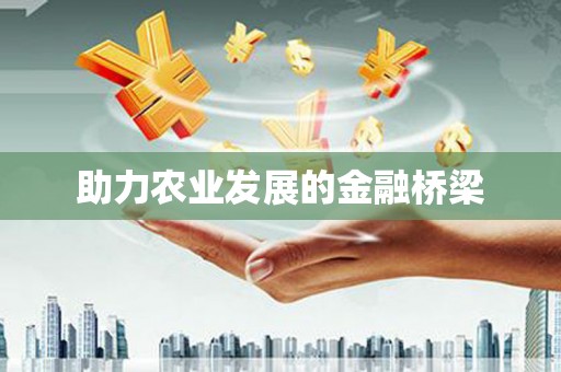 台西助力农业发展的金融桥梁
