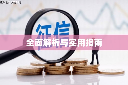 台西全面解析与实用指南