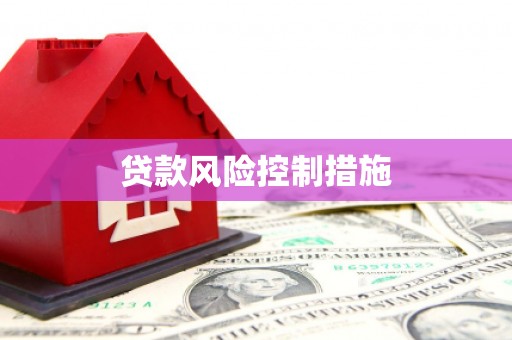 台西贷款风险控制措施