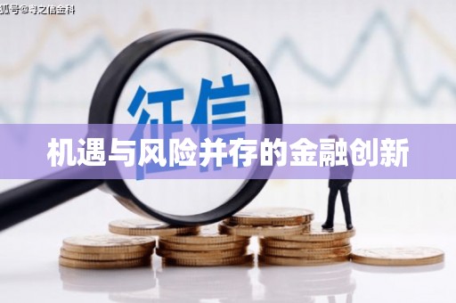 台西机遇与风险并存的金融创新