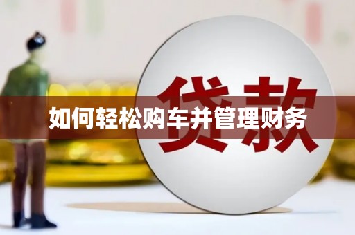 台西如何轻松购车并管理财务