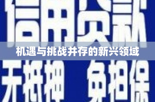 台西机遇与挑战并存的新兴领域