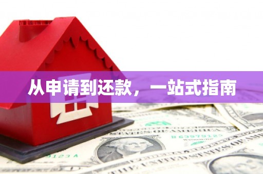 台西从申请到还款，一站式指南