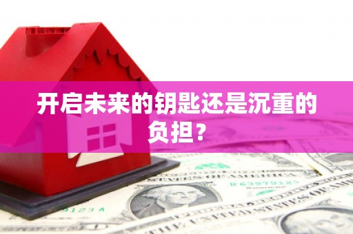 台西开启未来的钥匙还是沉重的负担？