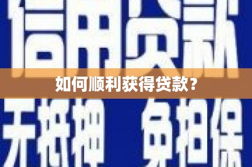 台西如何顺利获得贷款？