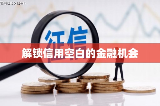 台西解锁信用空白的金融机会