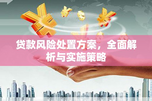 台西贷款风险处置方案，全面解析与实施策略